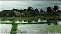 BAL-0023