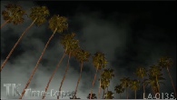 LA-0135