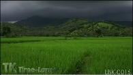 LBK-0015