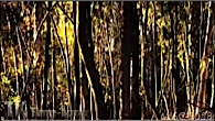 MISC-0058
