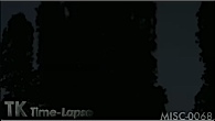 MISC-0068