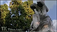 MISC-0070
