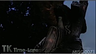 MISC-0071