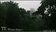 NAT-0089