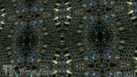 SCI-0011