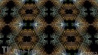 SCI-0012