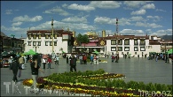 TIB-0007