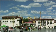 TIB-0008