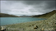 TIB-0022