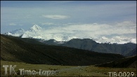 TIB-0029