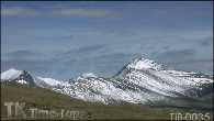 TIB-0035