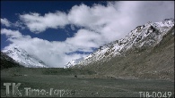 TIB-0049
