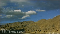 TIB-0065