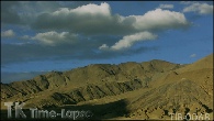 TIB-0066