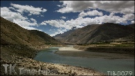 TIB-0079