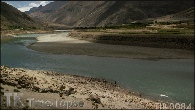 TIB-0084