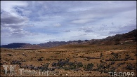 TIB-0099
