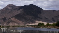 TIB-0101