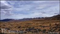 TIB-0106