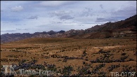 TIB-0107