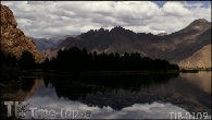 TIB-0109