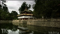 TIB-0114