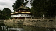 TIB-0117