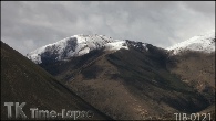 TIB-0121