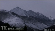 TIB-0132