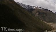 TIB-0136