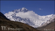 TIB-0210