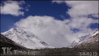 TIB-0212